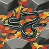 Gary Creighton - @gary.creighton4 - TikTok