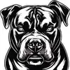 Gary Creighton - @gary.creighton - TikTok