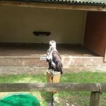 Gary Cronk - @gary.cronk.75 - Instagram