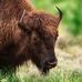 Gary Crossland - Facebook