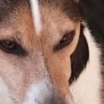 Gary Culbert - @gary.culbert.71 - Instagram