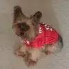 Gary Culp - @garyculp1 - TikTok