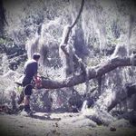 Gary Curlee - @gary.curlee.980 - Instagram