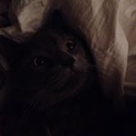 Gary - @gary.curtin3 - Instagram