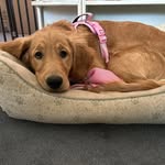 Gary Cushman - @cushman.g - Instagram