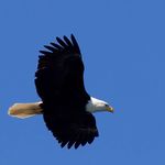 Gary Custer - @gary.custer.90 - Instagram