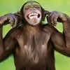 Gary Cuthbert - @gary.cuthbert2 - TikTok