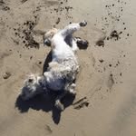 Gary Cuthbertson - @gary.cuthbertson.50 - Instagram