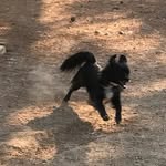 Gary Cyr - @sluggopuppy - Instagram