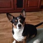 Gary Dahle - @dahlegary - Instagram