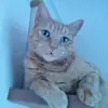garydheller - @garydheller - TikTok