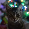 GaryDaily64 - @garydaily64 - TikTok