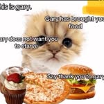@daily.gary.cat - Instagram