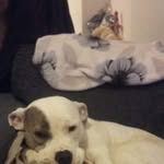 Gary Daily - @garydaily9 - Instagram