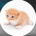 Garyy - @higarydaily - Instagram