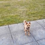 Gary Dallas - @gary63dallas - Instagram