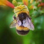 Gary Daly - @gary_paul_daly - Instagram