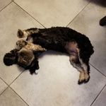 Gary D'Amico - @gary_d20 - Instagram