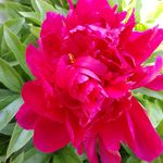 Gary Damron - @gkdamron - Instagram