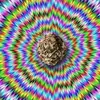 garydamron821 - @garydamron821 - TikTok