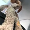 Gary RULES - @gary_dances - TikTok