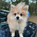 Cory Dangerfield - Facebook