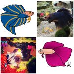 Gary, Dart and Don🇸🇰 🐠 - @stachovakristina - Instagram