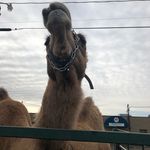 Gary Daugherty - @daugherty.gary - Instagram