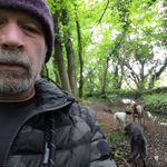 gary dawes - @gary_dawes - Instagram