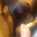 Gary Deberry - Facebook