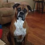 Gary Deese - @deese.gary - Instagram