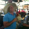 garydees1234 - @garydees1234 - TikTok