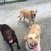 Gary DeStefano - Facebook