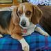 Gary DeStefano - Facebook