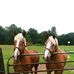 Gary Dille - Facebook