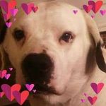 Gary Diller - @garydiller - Instagram