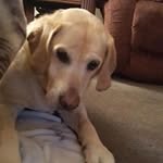 Gary Dodge - @gary.dodge.184 - Instagram