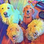 Gary Dollarhide - @dollarhidegary - Instagram