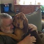 Gary Downey - @james.downey.7393 - Instagram