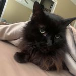 Gary Downey - @skoobi97 - Instagram