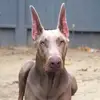 kenzie - @garydryden5 - TikTok
