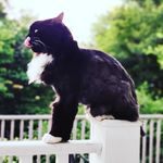 Gary Dube - @garydube8572 - Instagram