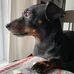 Gary Dubinsky - Facebook