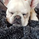 Gary Dudley - @garydudley23 - Instagram