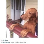Gary Dudley - @garydudley3595 - Instagram