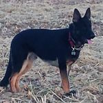 Gary Dumas - @peanuts4163 - Instagram