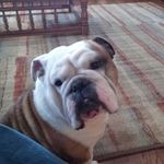 Gary Dunfee - @racgtd - Instagram