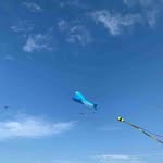 Gary Durkee - @durkee.gary - Instagram