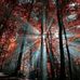 Gary Dyer - Facebook