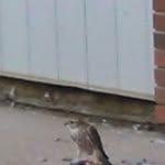 Gary Eagles - @gary_eagles - Instagram